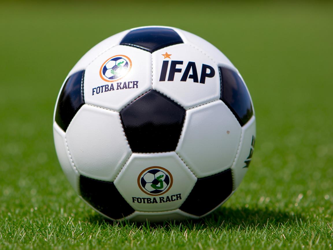 平博体育-体育志愿服务标准化手册正式发布，体育志愿者服务活动内容